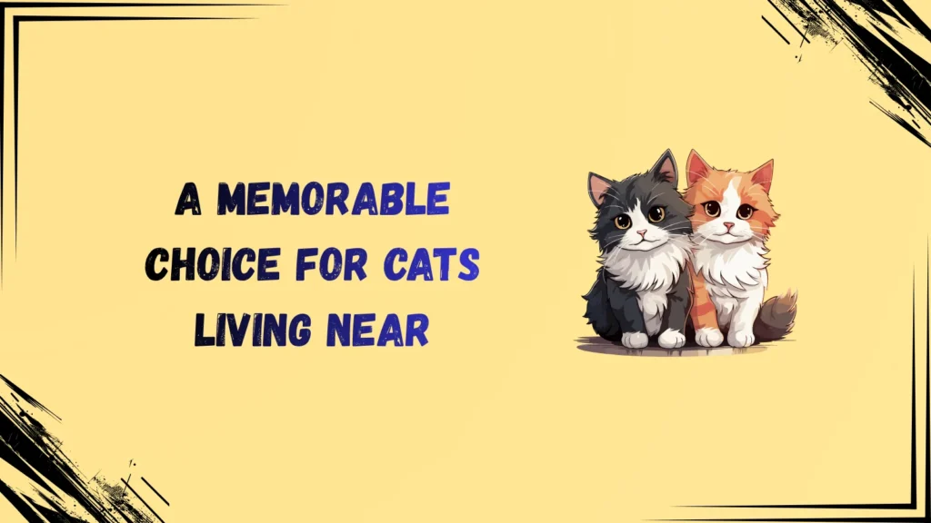 Unique Warrior Cat Clan Names