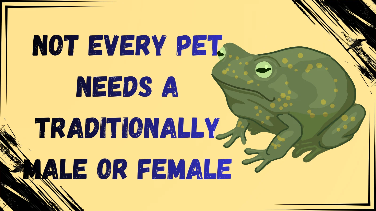 Unique Toad Names Epic Ideas for Your Funny Pet